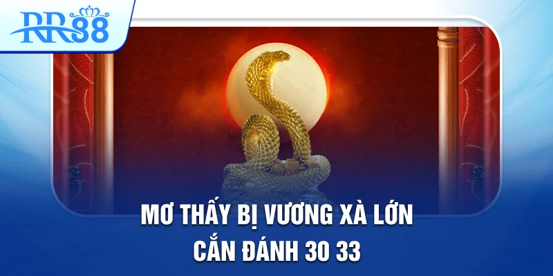 Mơ Thấy Con Trăn Lớn Tiết Lộ Những Cầu Lô Đẹp Tại RR88 3 Mơ thấy bị vương xà lớn cắn đánh: 30, 33