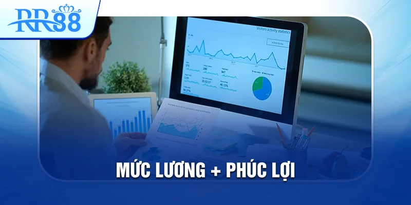 Chuyên Viên SEO RR88 - Search Engine Optimization 4 mức lương seo rr88
