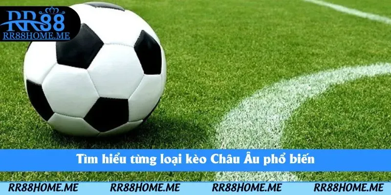 Kèo Châu Âu - Hình Thức Cá Độ Đơn Giản Có Lợi Nhuận Cao 2025 4 Tìm hiểu từng loại kèo Châu Âu phổ biến