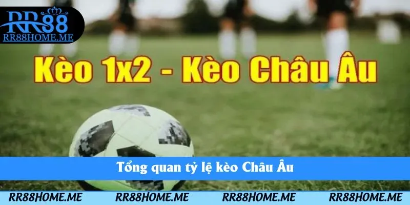 Kèo Châu Âu - Hình Thức Cá Độ Đơn Giản Có Lợi Nhuận Cao 2025 2 Tổng quan tỷ lệ kèo Châu Âu